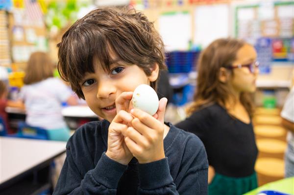 Students learning about Green Eggs and Ham and how to make them. 